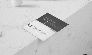 Arquiteta Francine Aires – Logo
